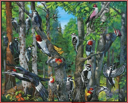 Woodpeckers - 1,000 piece White Mountain puzzle - for Ages 12+