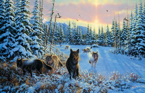 Hunters Moon - Wolves - 1,000 piece SunsOut puzzle - for Ages 12+