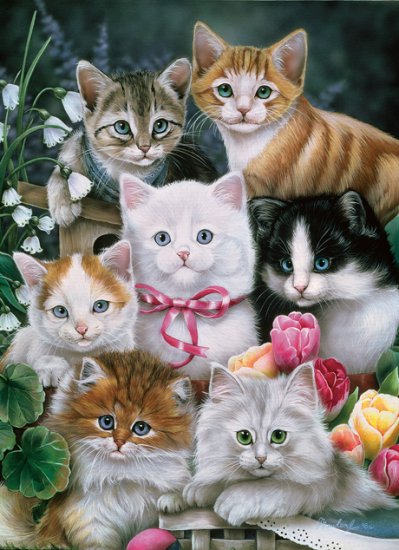 Kitten Fancy - 1000 piece MasterPieces puzzle - for Ages 12+