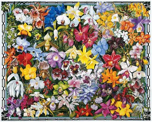 Orchids - 1,000 piece White Mountain puzzle - for Ages 12+