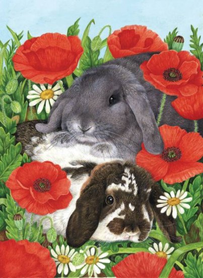 Red Poppies - 300 piece SunsOut puzzle - for Ages 8+