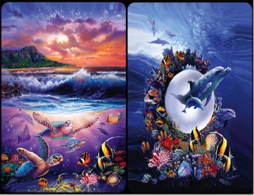 Sea Friends - Bridge Playing Cards Double Deck - NEW