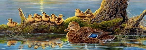 Spring Mallards - 500 piece SunsOut puzzle - for Ages 12+