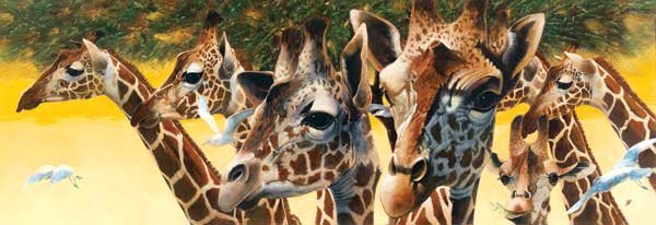 A Walk in the Sun - 500 piece SunsOut puzzle - for Ages 12+