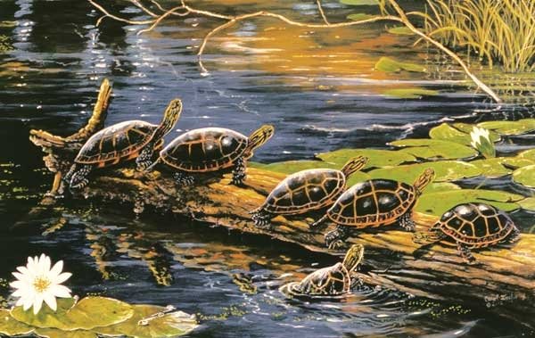 Standing Room Only - 550 piece SunsOut puzzle - for Ages 12+