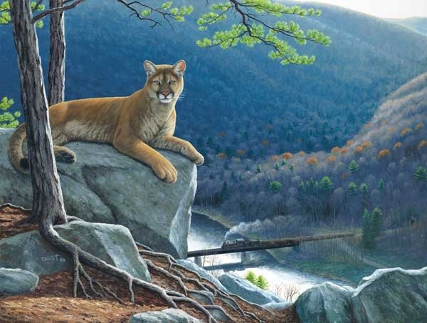 Mountain Lion Tracks - 500 piece SunsOut puzzle - for Ages 12+