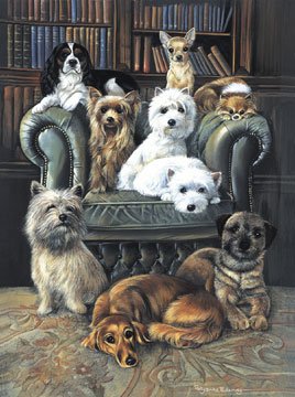 A Dog's Life - 100 piece SunsOut Mini puzzle