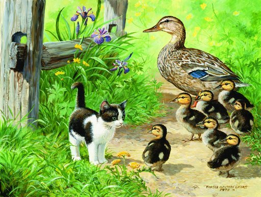 Duck Inspector - 500 piece SunsOut puzzle - for Ages 12+