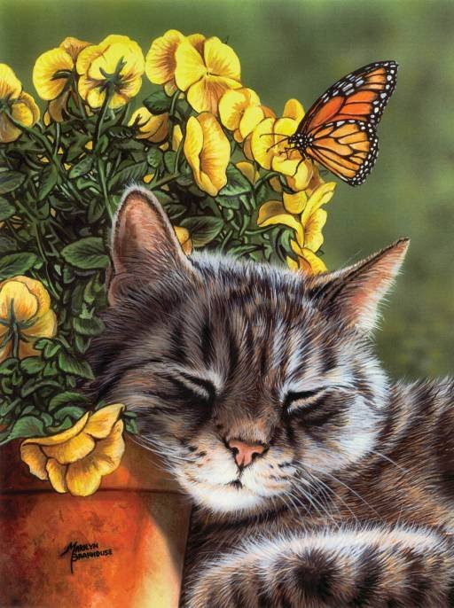 Afternoon Nap - 1,000 piece SunsOut puzzle - for Ages 12+