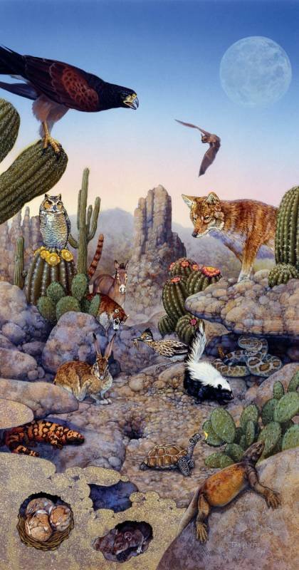 Southwest Vista - 500 piece SunsOut puzzle - for Ages 12+