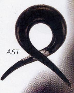 Aisan Twist