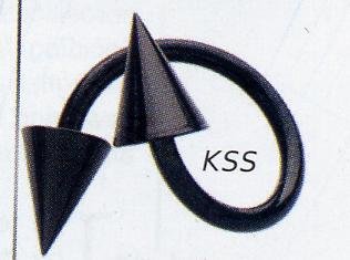 Blackline Spiked Spirals