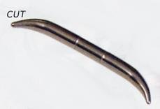 Curved Tusk