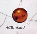Amber Clip in Beads (Mixed bag of 10 pieces)
