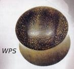 Wood Plug Sono