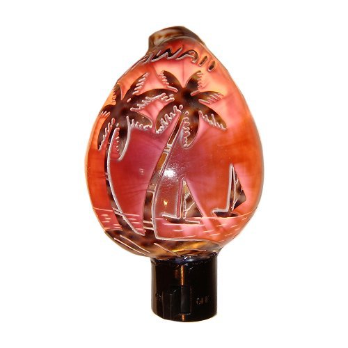 Hand Carved Hawaiian Tiger Sea Shell Night Light
