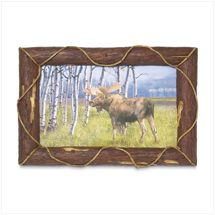 Moose Frame Art