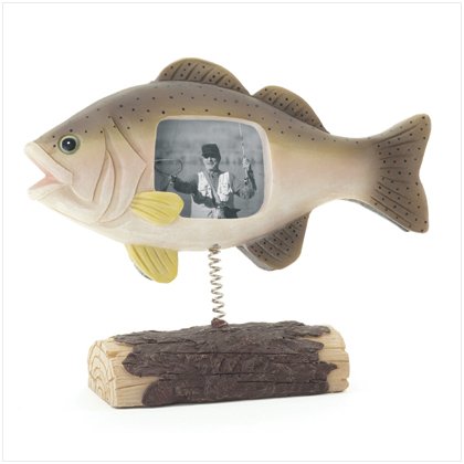 Fish On Log Frame