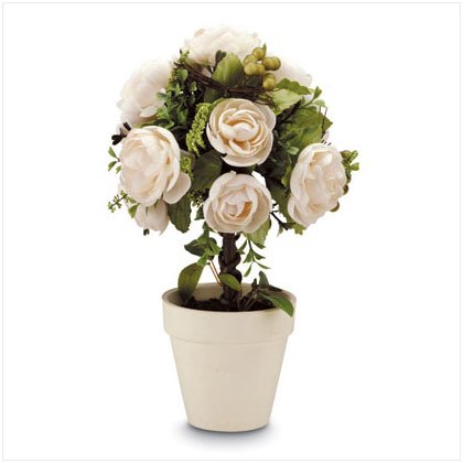 Rose Topiary