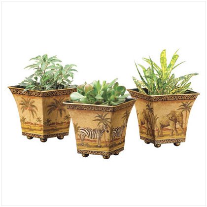 Safari Pots - Set of 3
