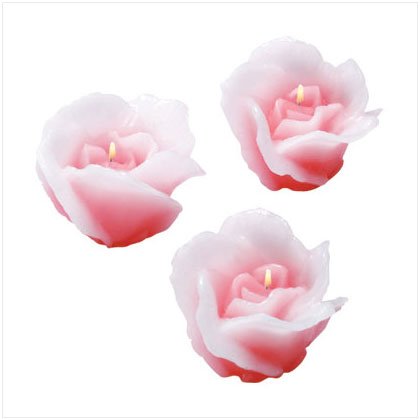 Floating Rose Candles