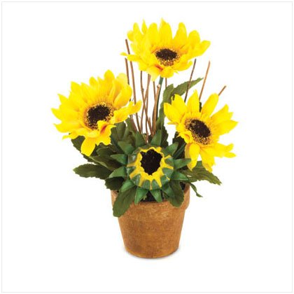 Sunflower Bouquet