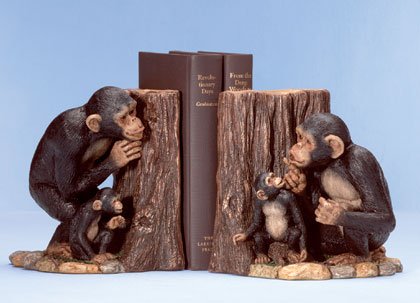 Hide & Seek Monkey Bookends