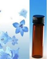 (12 ct) 1/2 oz. (15 ml) Empty Amber Glass Bottles with PP Black Caps