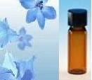 (72 ct) 1 Dram Empty Amber Glass Bottles with PP Black Caps: SPECIAL FREE SHIPPING