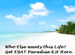 Ebay Paradise Success Kit