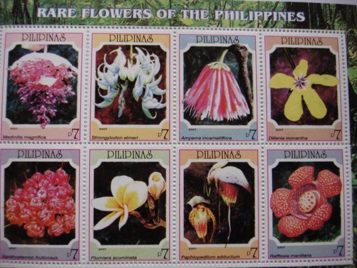 Rare Flowers of the Philippines M/S