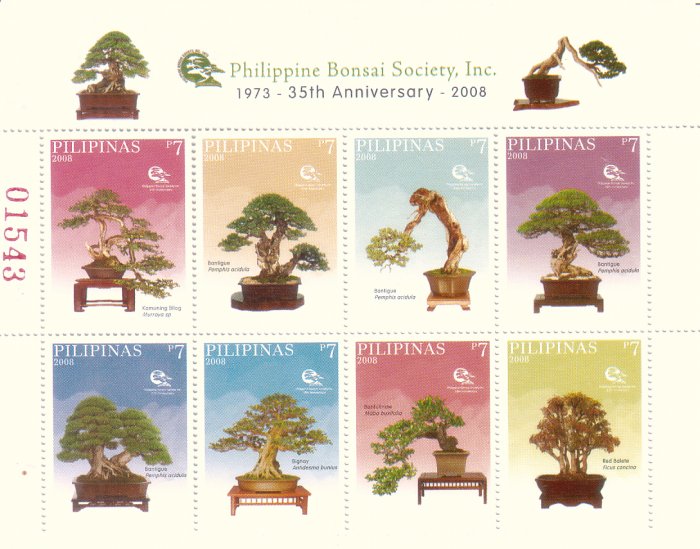 Philippine Bonsai 16v