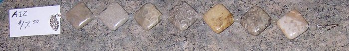 A12 - Bracelet - Fossilized Bead Bracelet