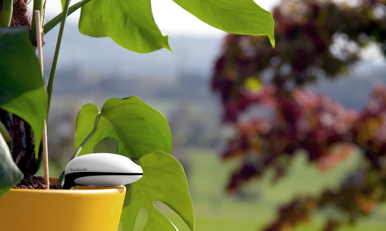 NEW! Koubachi Wi-Fi Plant Sensor-Outdoors