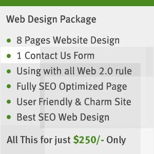 Web Design - SEO Web Design - Website Design Package @$250 Only !!!