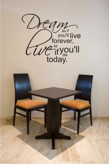 vinyl wall art decal sticker - dream quote (20"x24")