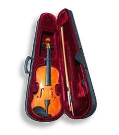 Natural Violin Kit