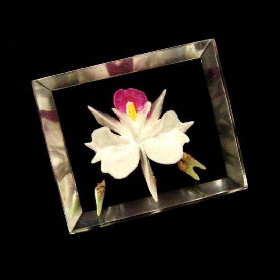 Vintage Reverse Carved Lucite Flower Brooch Pin Crystal Orchid