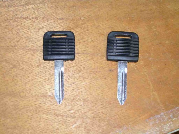 2 FREIGHTLINER FACTORY HEAVY TRUCK TRACTOR RUBBER HEAD KEY BLANK BLANKS
