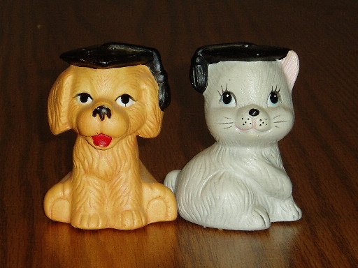 Puppy and Kitten Graduate Figural Salt/Pepper Shakers