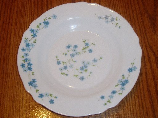 Arcopal France 9" Pasta/Soup Bowl Veronica Pattern