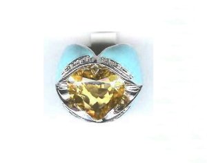 AN0041 ring