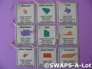 Mini ***One From EACH State*** Facts-Capital,Flower SWAPS Kit for Girl Kids Scout makes 50