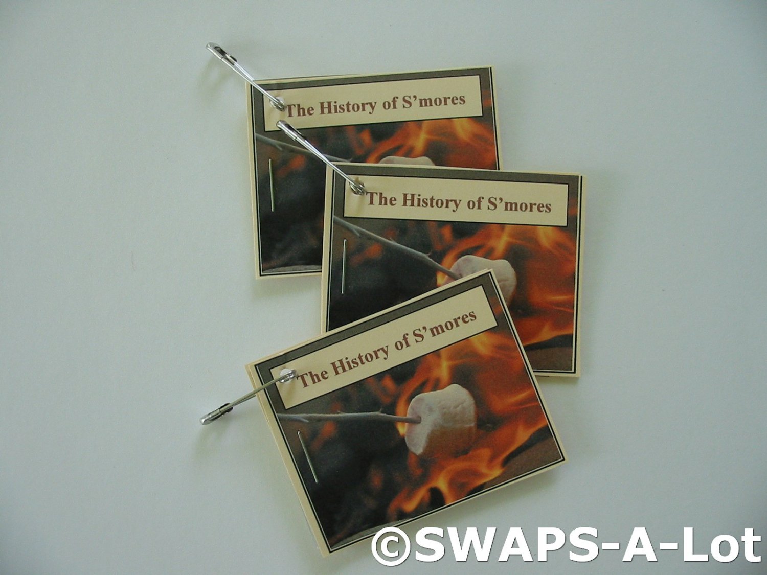 Mini History of S'mores Booklet SWAPS Kit for Girl Kids Scout makes 25