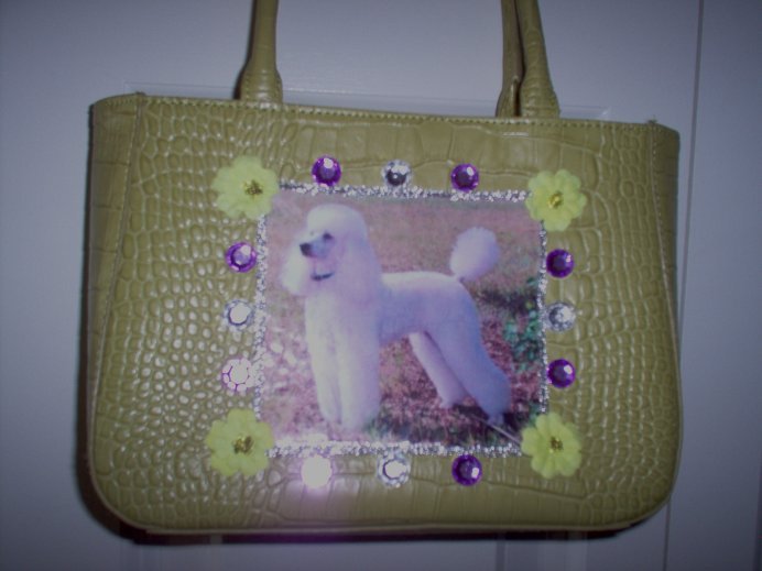 DIY White Poodle Handbag Lime Green Purse Clutch OOAK