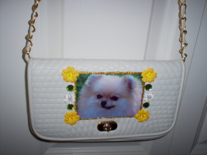 DIY Pomeranian Handbag Purse Clutch Pocketbook OOAK