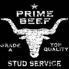 Stud Service- Extra Large