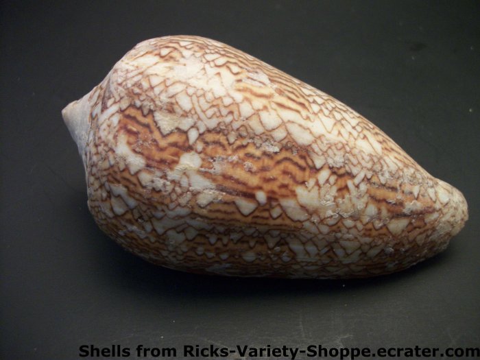 Conus - unclassified