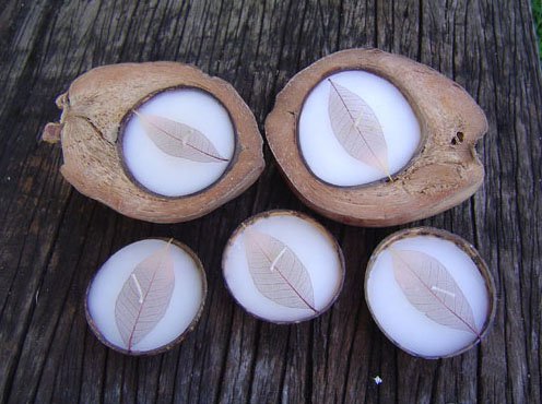 Aroma Coconut Candle
