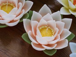 Floating candle / Lotus